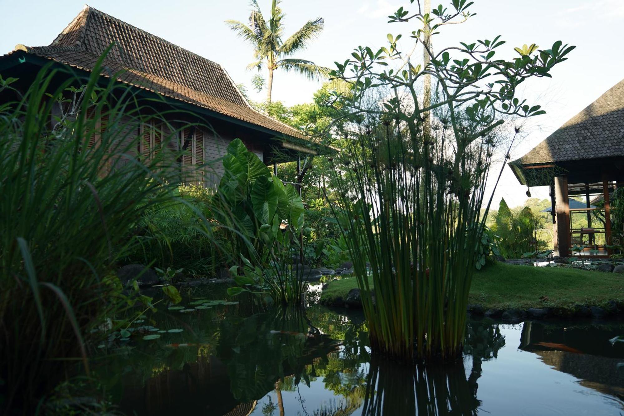 Villa Amaru Ubud  Exterior photo